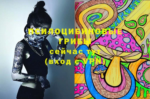 шишки Медногорск