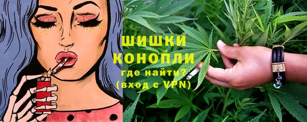 PSILOCYBIN Гусиноозёрск