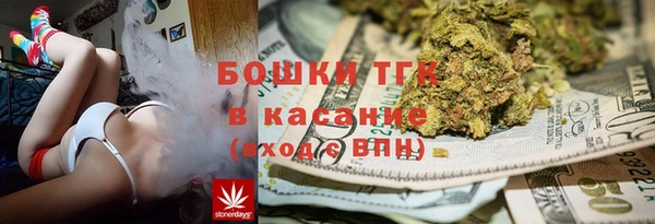 дживик Мегион