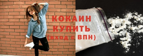 бошки Болотное