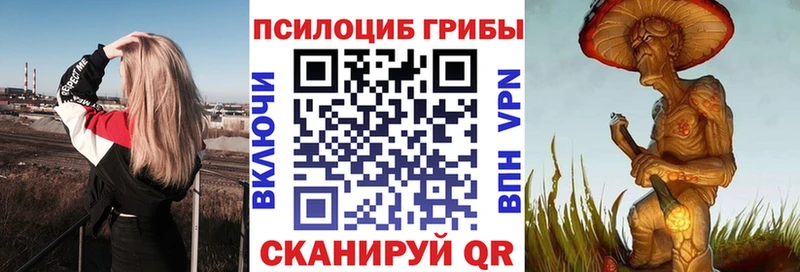 Псилоцибиновые грибы мухоморы  блэк спрут tor  Дорогобуж 